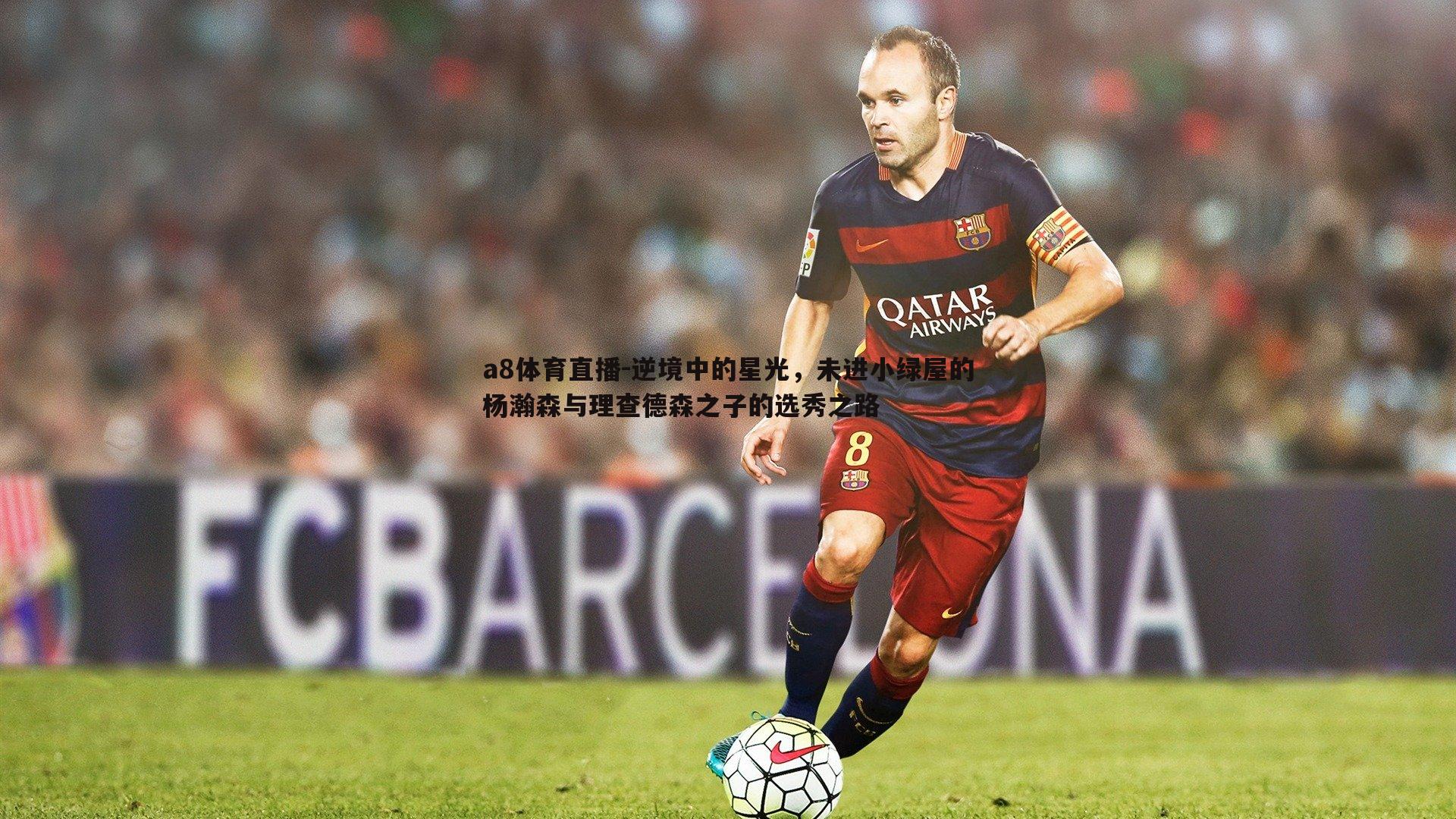 逆境中的星光,未进小绿屋的杨瀚森与理查德森之子的选秀之路