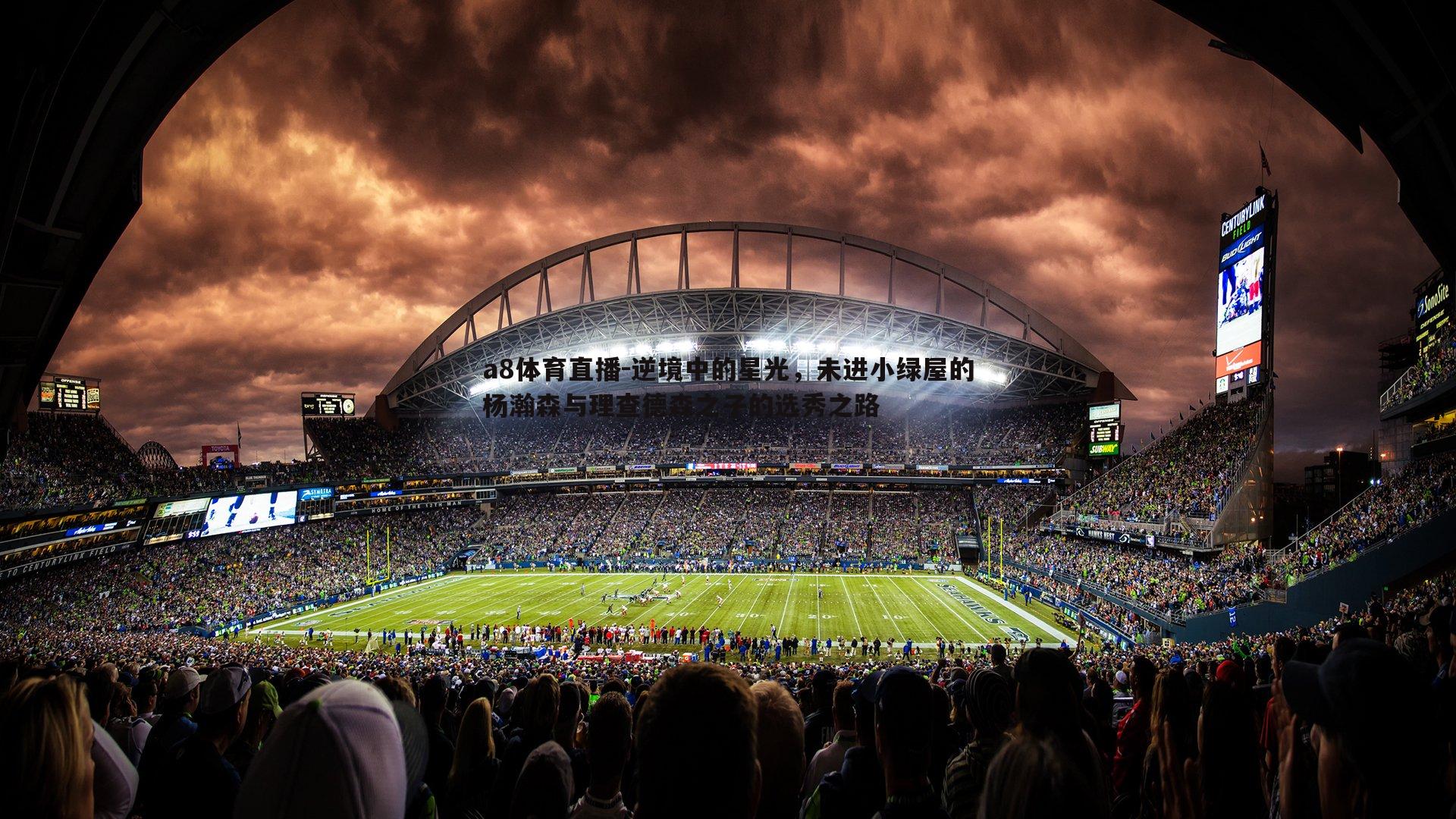 逆境中的星光,未进小绿屋的杨瀚森与理查德森之子的选秀之路